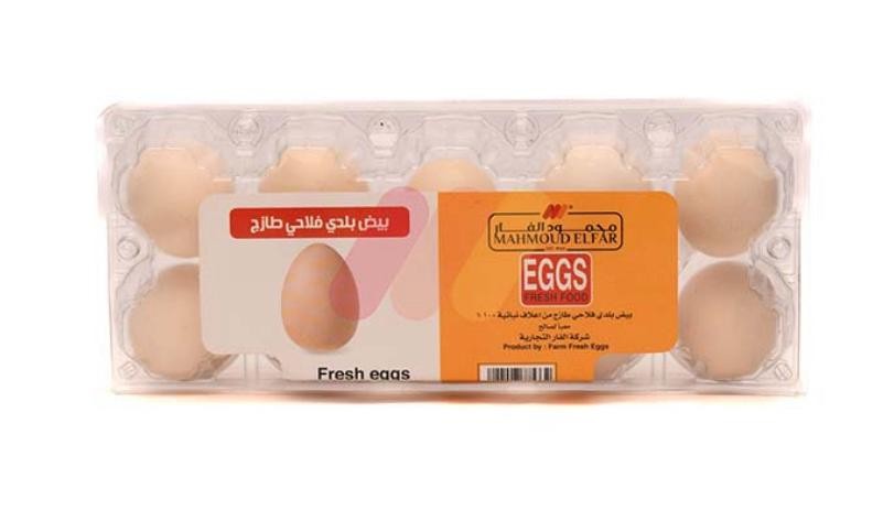 محمود الفار بيض بلدي عضوي 10 بيضات