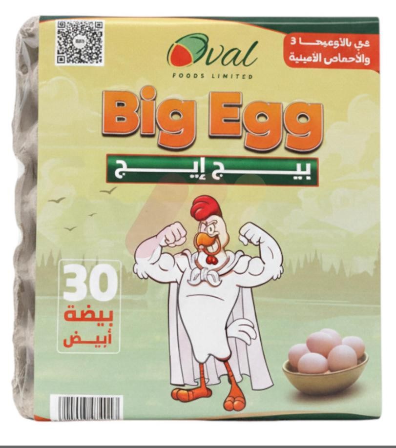 بيج ايج بيض ابيض اورجانيك كرتونه 30 بيضه